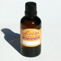 Lotus Castor oil organic cold pressed 50ml