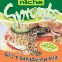 Niche Spicy Sandwich Mix