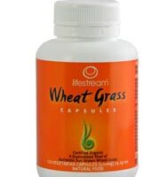 LifeStream Wheat Grass Powder 100g