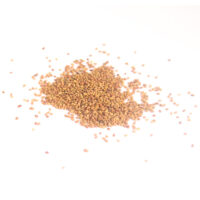 Wright Sprouts Alfalfa sprouting seeds 100g