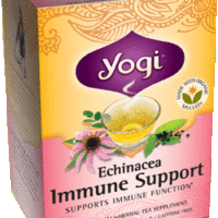 YOGI Echinacea Immune Support Tea