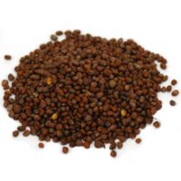 Wright Sprouts Radish seed 100g