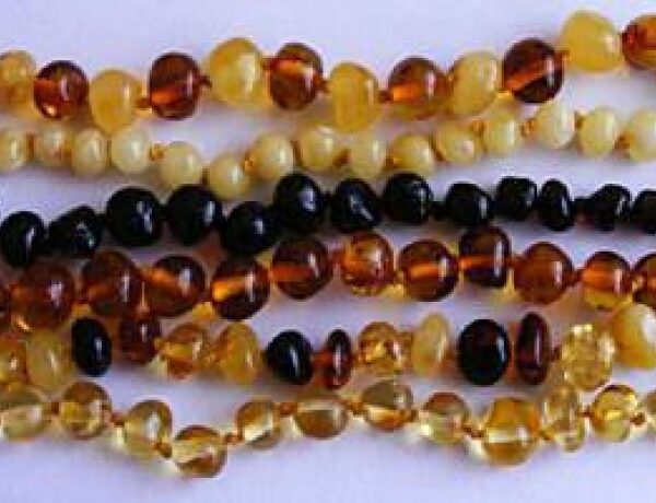 Baa Baa Adult Amber Necklace (assorted)