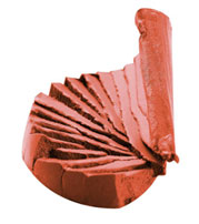 INIKA Soft Coral Lipstick