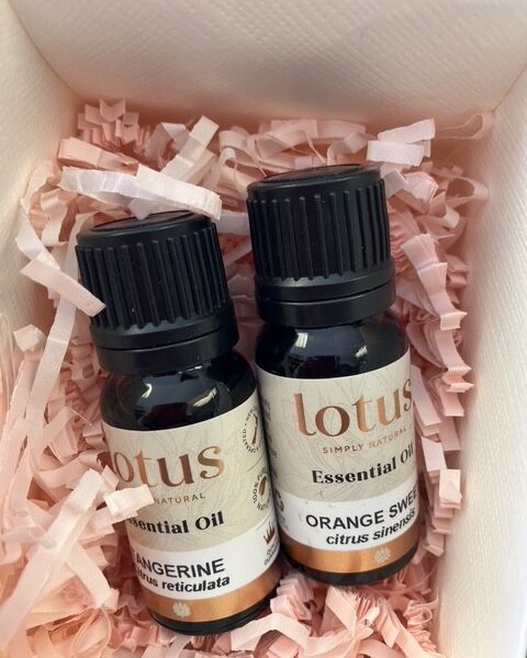 Essential Oil Gift Set