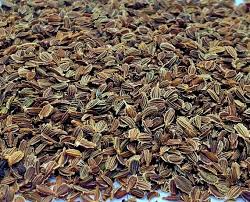 Carrot Seed Essential Oil. 100% Pure Organic 5mL - Image 3