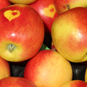 Apple Pectin Powder Organic - Image 2